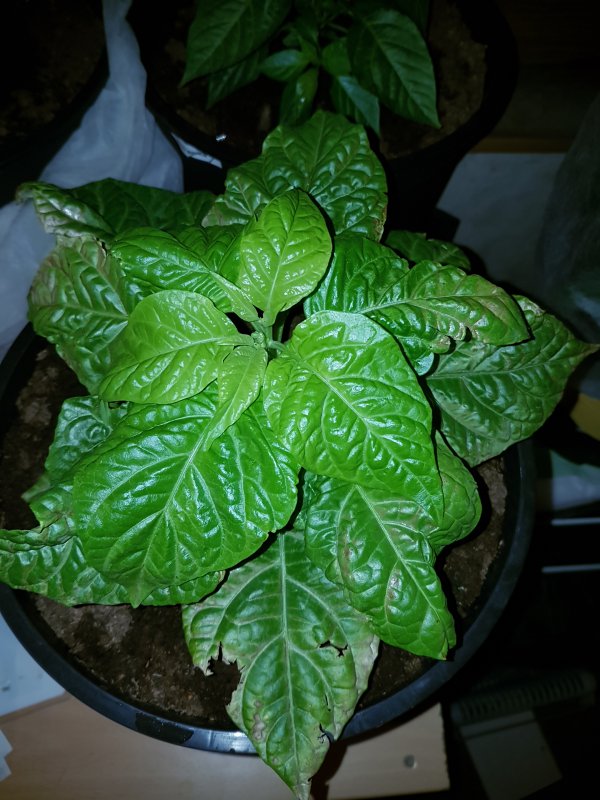 20170417_225334.jpg