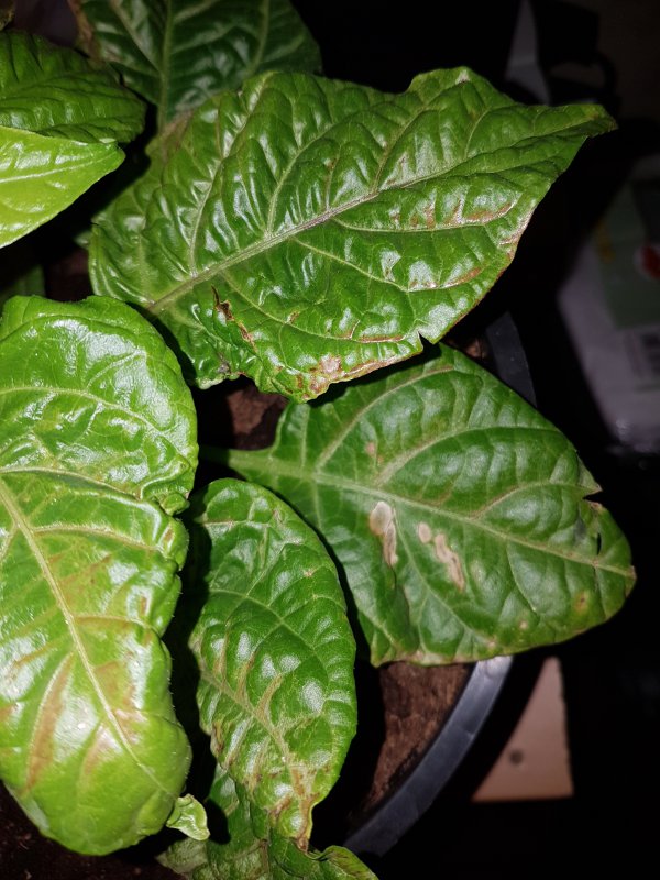 20170417_225341.jpg