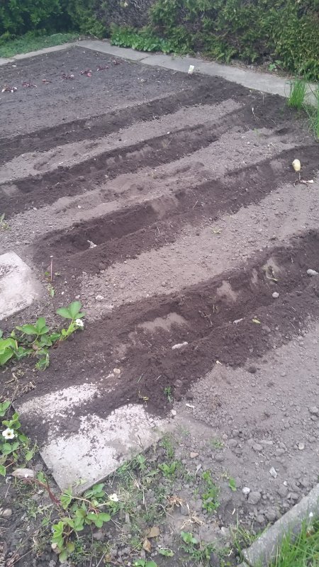 20170504_174523.jpg