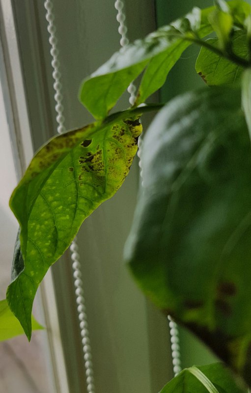 20170508_152017.jpg