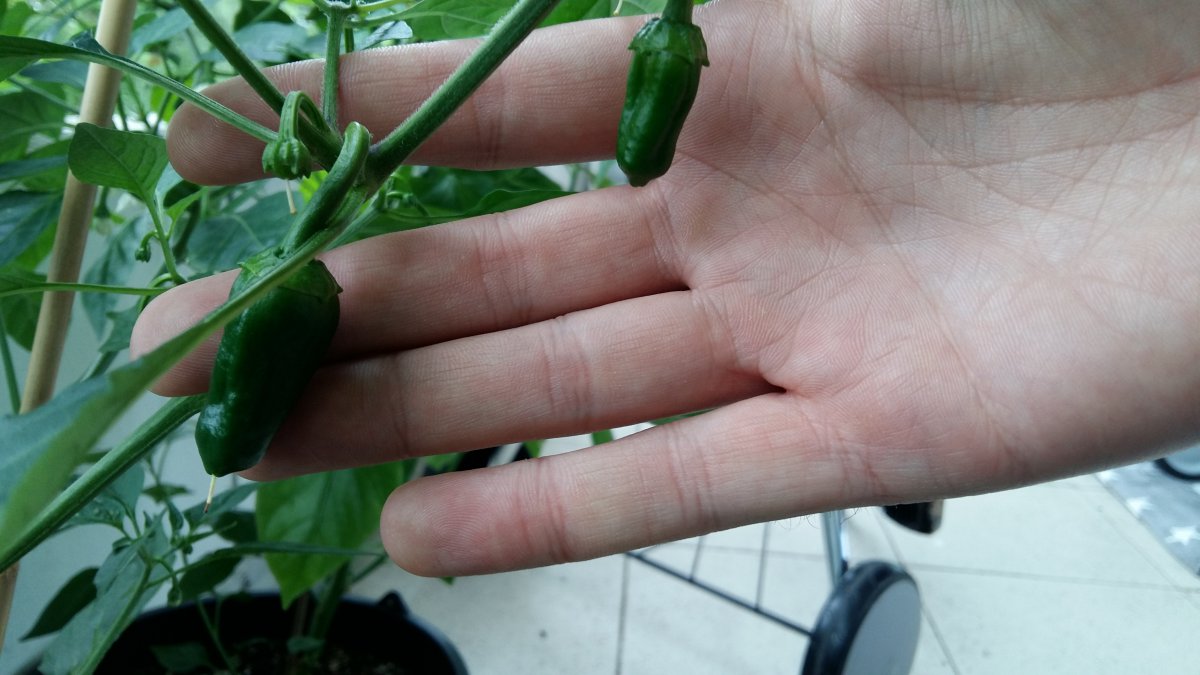 20170617_095456.jpg