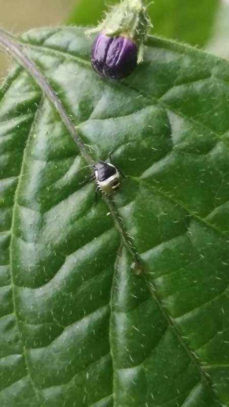 20170709_192753.jpg