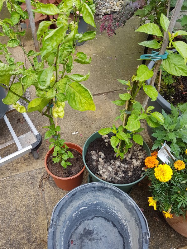 20170826_133443.jpg