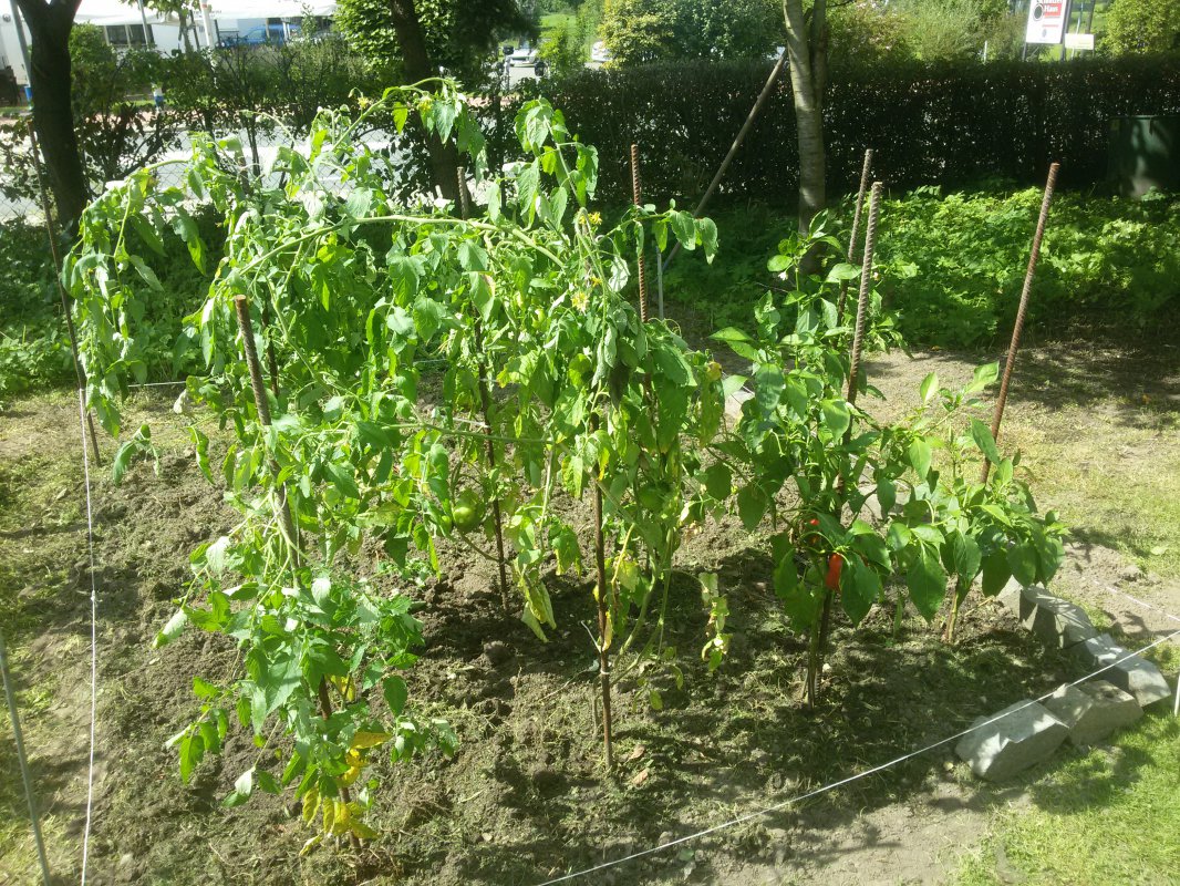20170827_135502.jpg