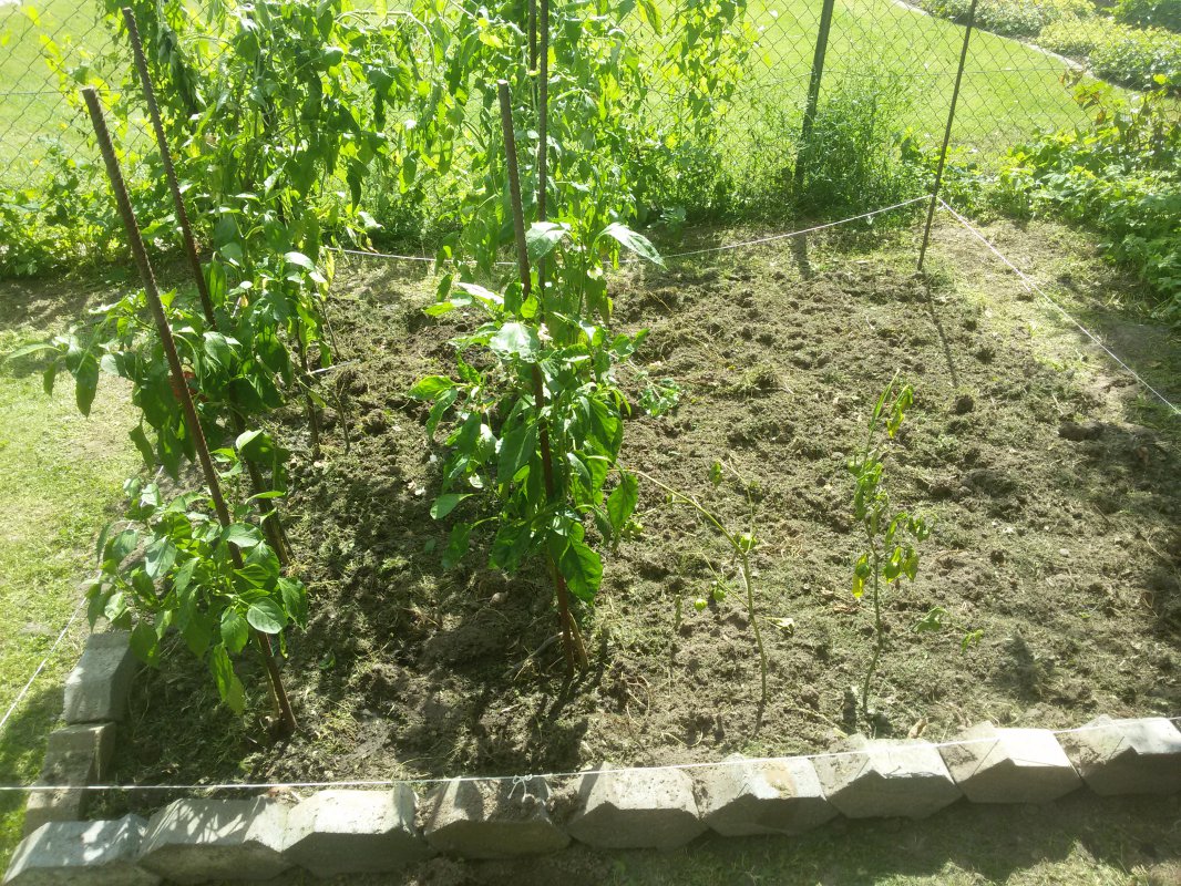 20170827_135521.jpg