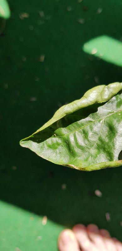 20170830_130214.jpg