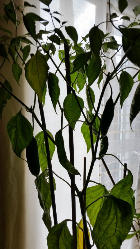 20170830_171822.jpg