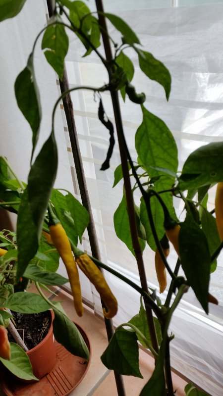 20170830_171845.jpg