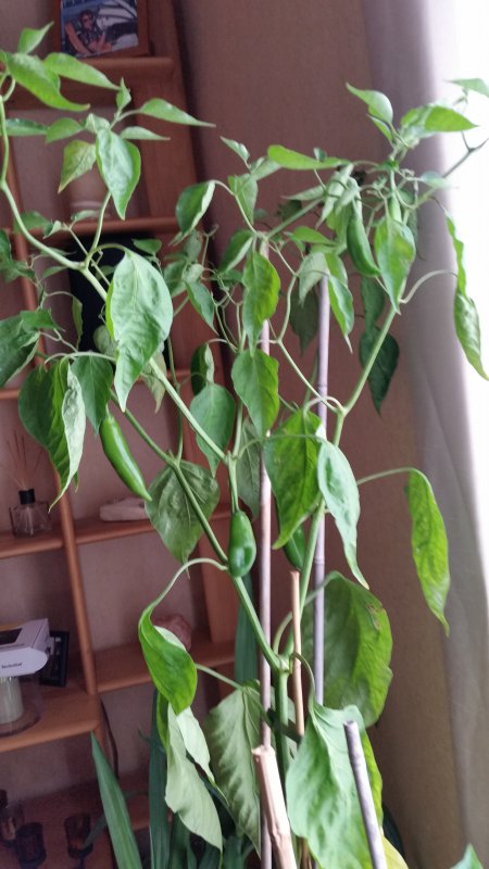 20170830_173156.jpg