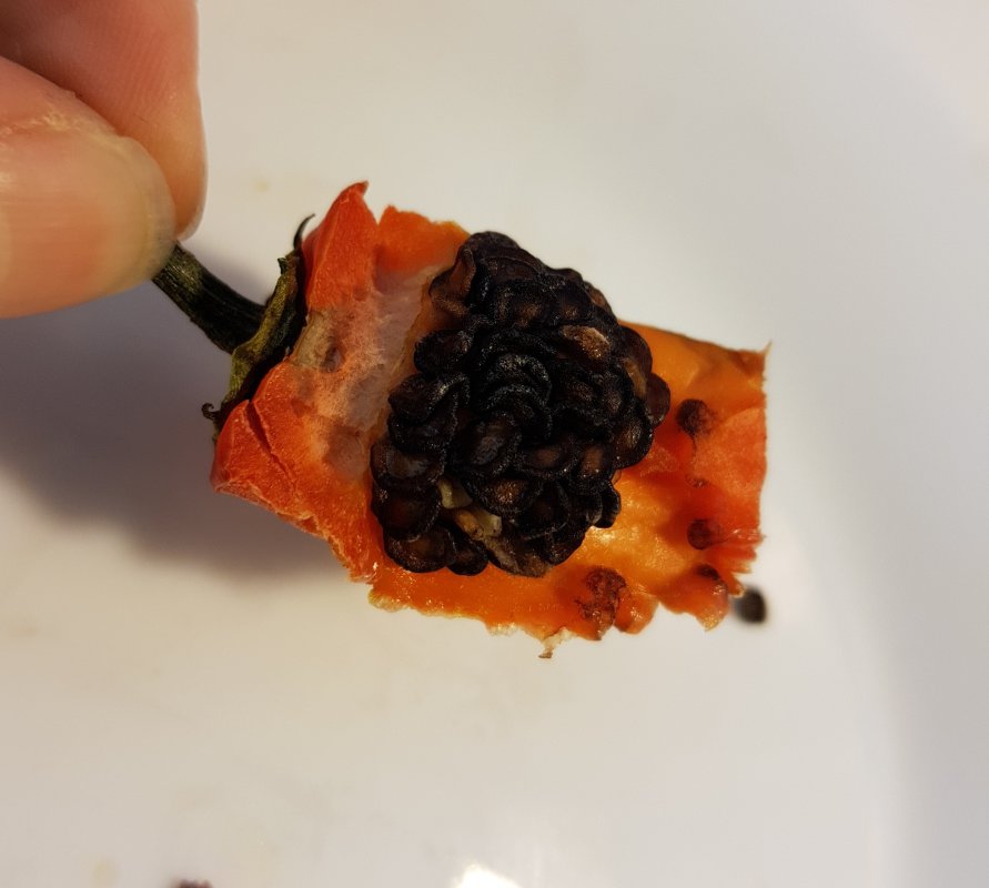 20171114_153404.jpg