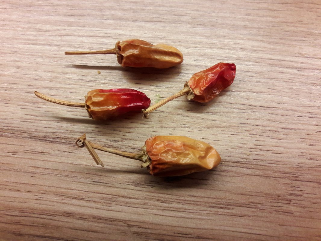 20171119_203835.jpg