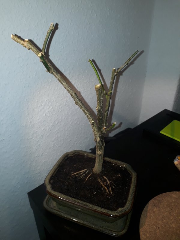 20171120_165614.jpg