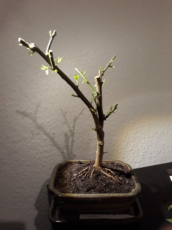 20171201_002457.jpg