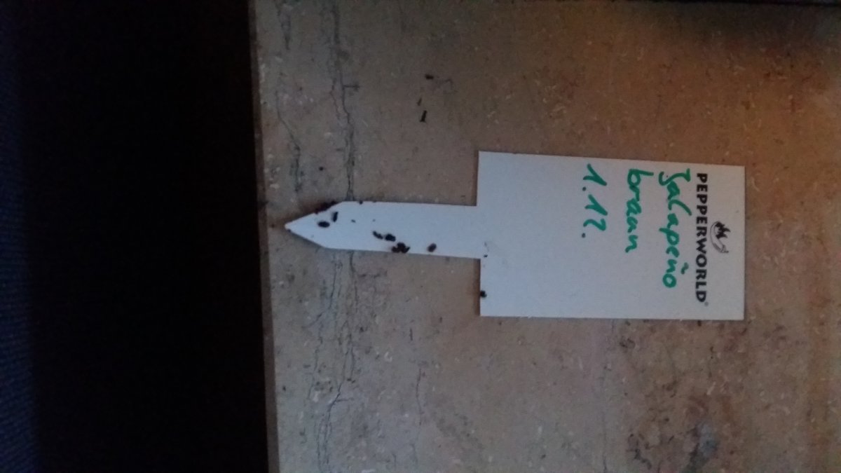 20171201_161704.jpg