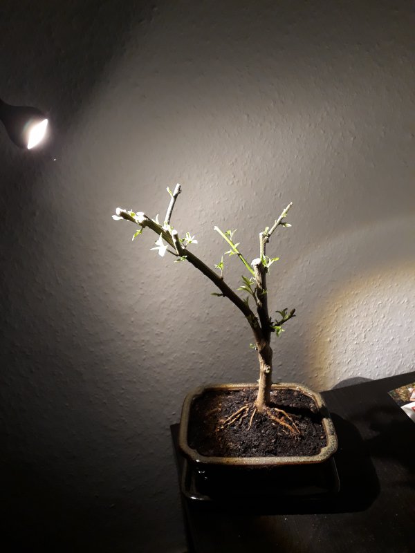 20171203_125850.jpg