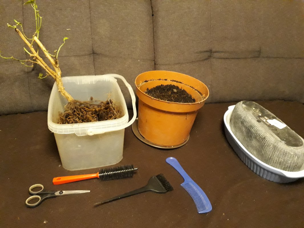 20171208_191719.jpg