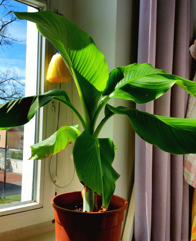 2018-04-06 19.58.19.jpg