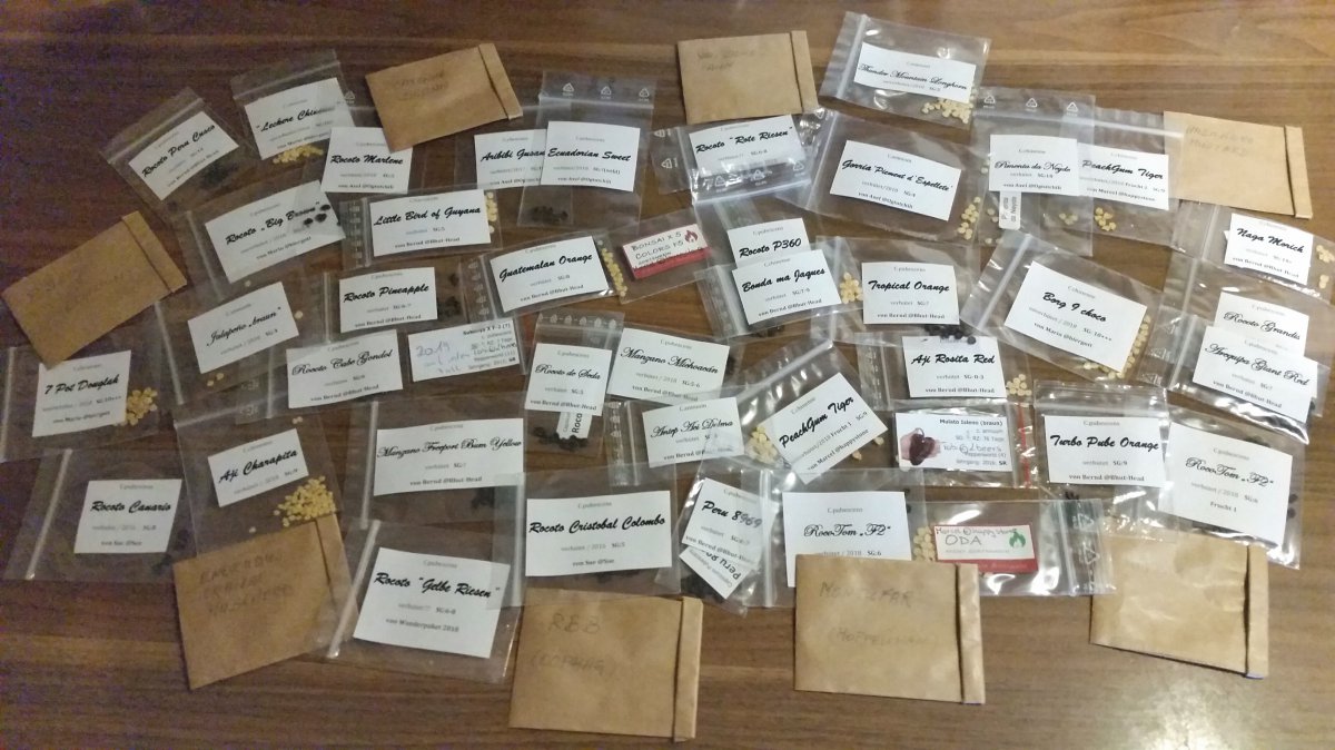 2018-10-27 10.12.06.jpg