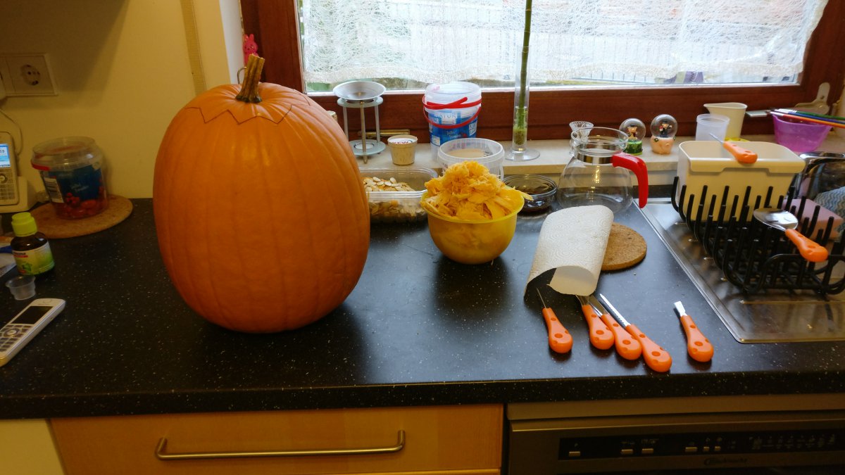 2018-10-29 15.59.10.jpg