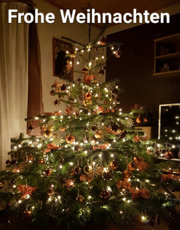 2018-12-23 19.07.46.jpg