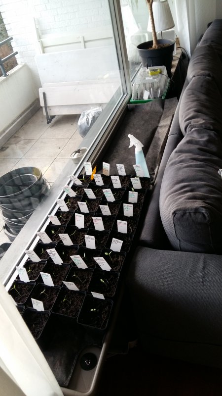 20180113_152112.jpg