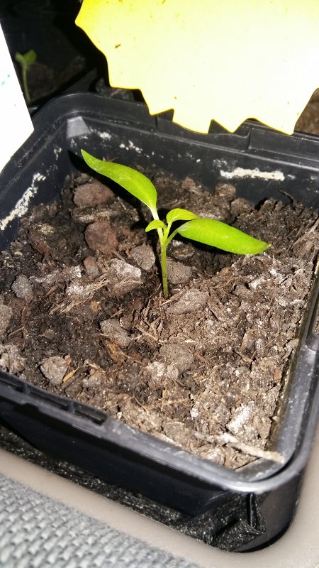 20180118_182230.jpg