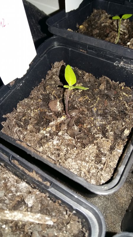 20180118_182308.jpg
