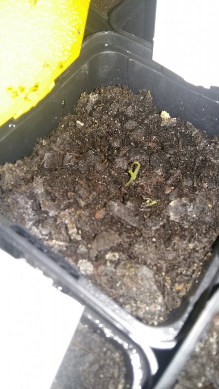 20180201_075457.jpg