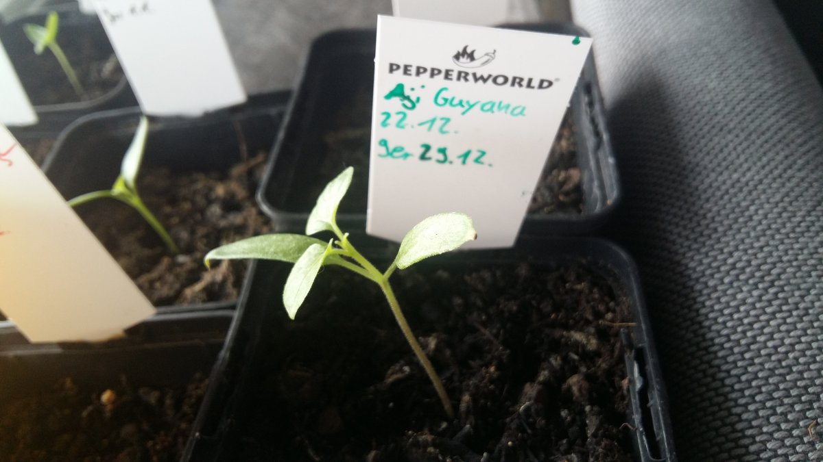 20180202_140320.jpg