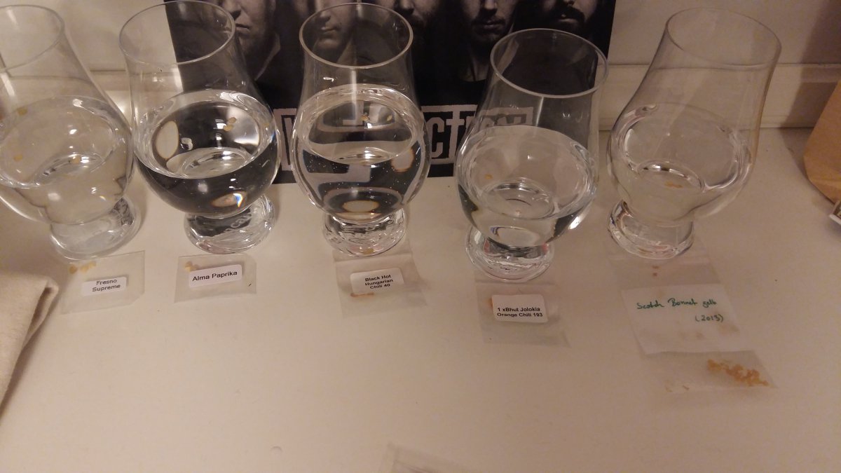 20180213_211332.jpg