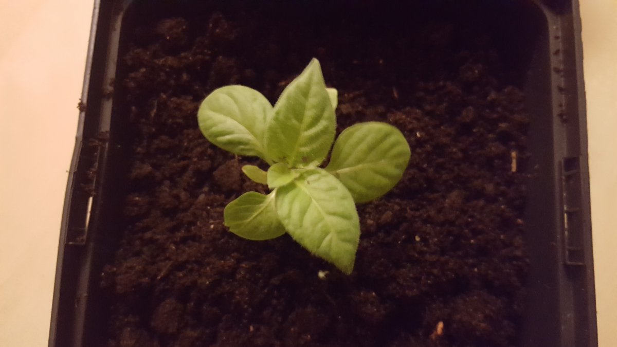 20180216_213452.jpg
