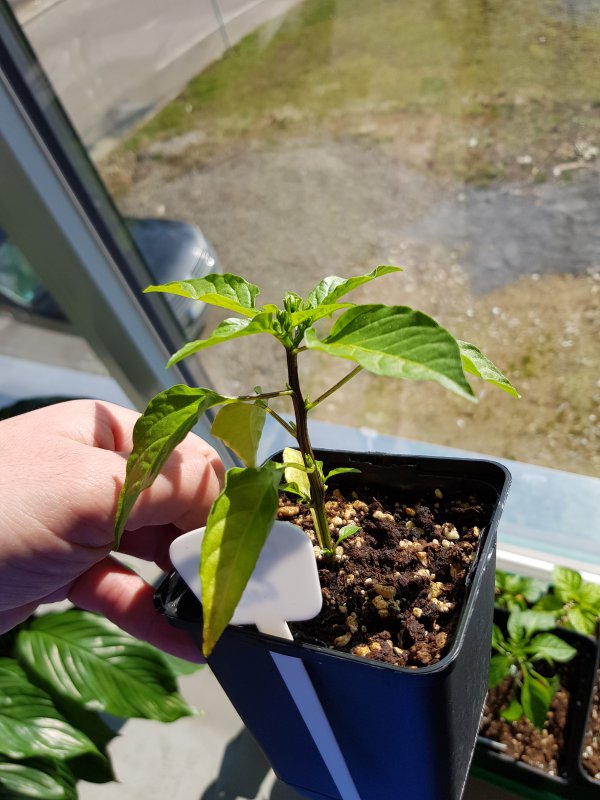 20180224_134535.jpg