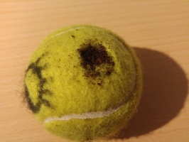 20180304_183823.jpg