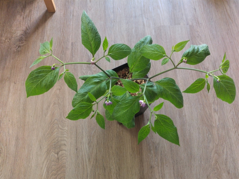 20180305_170207.jpg