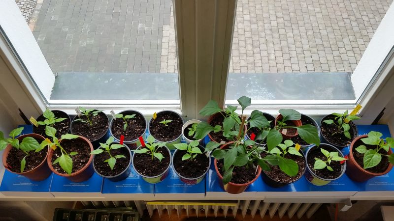 20180307_095059.jpg