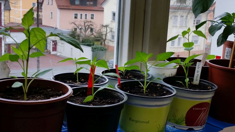 20180307_095545.jpg