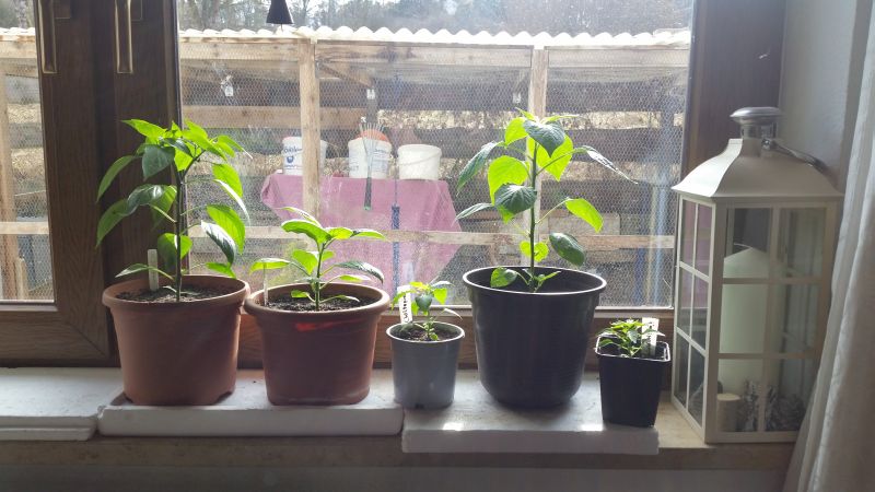 20180307_151002.jpg