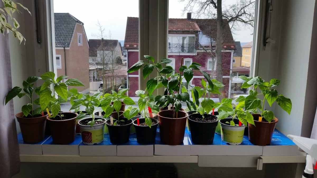 20180319_130731.jpg