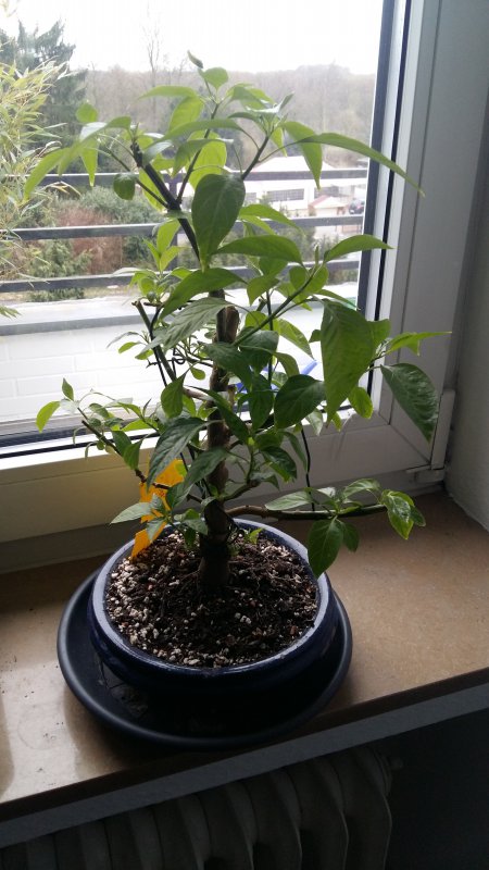 20180323_135959.jpg
