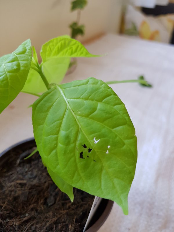 20180325_145909.jpg