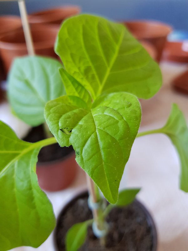 20180325_145938.jpg