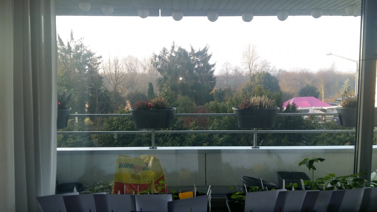 20180327_081838.jpg