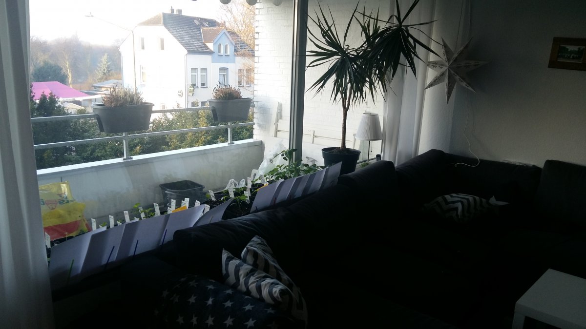 20180327_081909.jpg