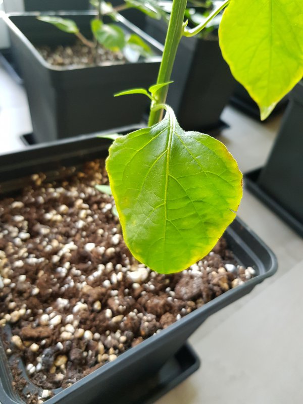 20180329_185943.jpg