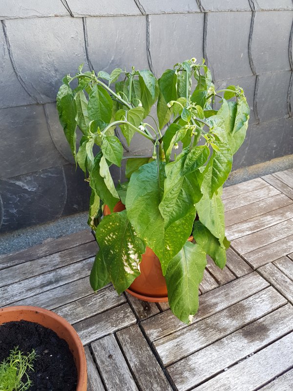 20180506_085423.jpg