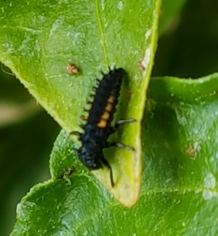 20180518_130605.jpg
