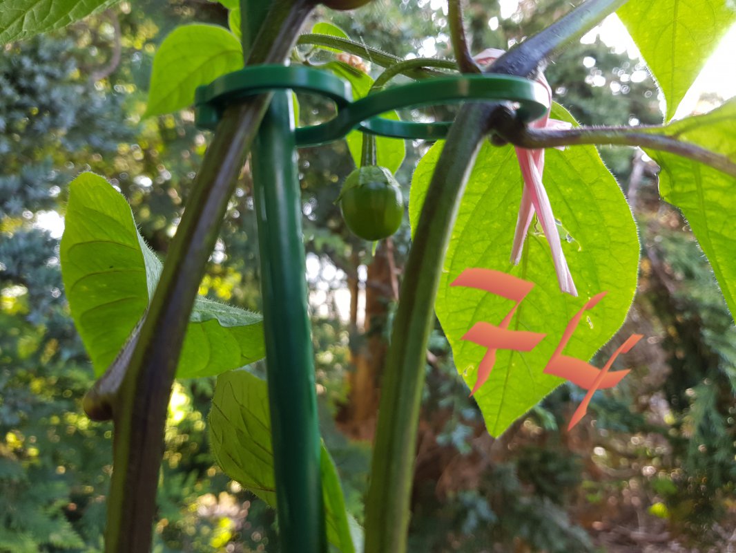 20180519_090645.jpg