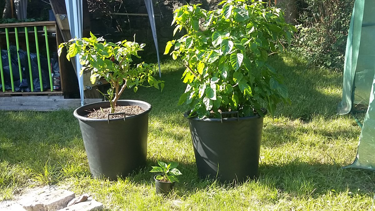 20180525_173739.jpg