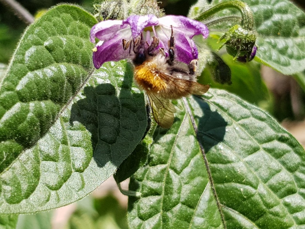 20180526_122727.jpg