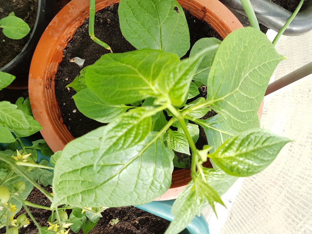 20180529_174124.jpg